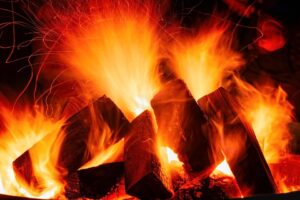 Bereichsleiter Fire & Service (m/w/d) Sachsen-Anhalt
