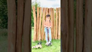 Chihuahua-Sonne-Sommer-Sachsentour 1 #chihuahua #puppy #sachsen