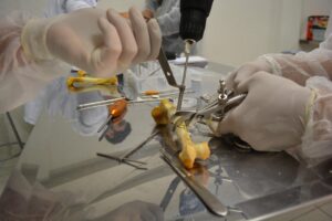 Facharzt Orthopädie - Region Harz (m/w/d)