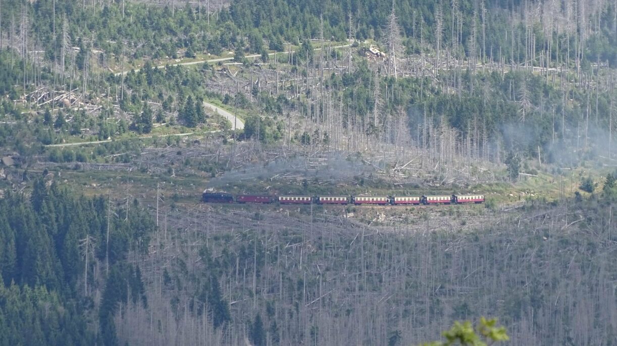Der Dampfzug erklimmt den Brocken. Foto vom Wurmberg.