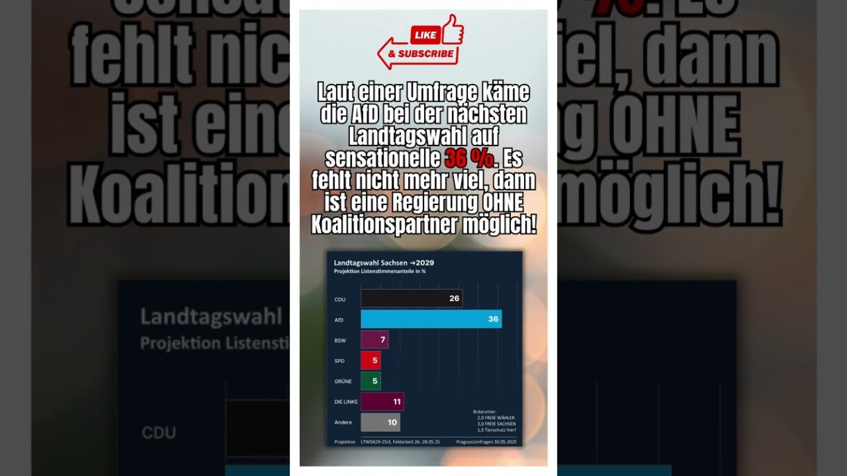 AfD steigt in Sachsen auf 36 %! #shorts #shortsfeed #shortvideo #afd #politik #deutsch #sachsen #fyp