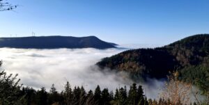 Im Schwarzwald