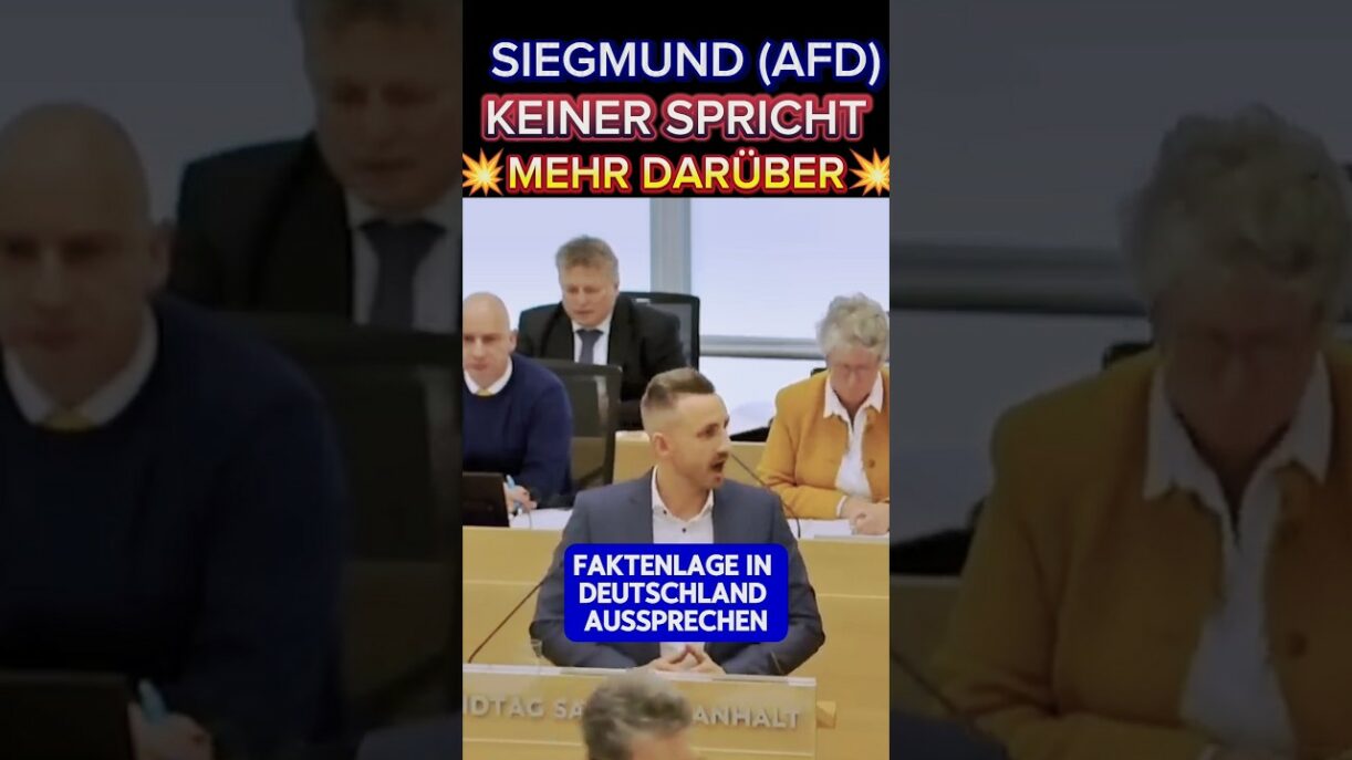 💥AFD zerlegt MEINUNGSUNTERDRÜCKUNG⚡#afd #sachsen #magdeburg #cdu #merz #weidel #aliceweidel #politik